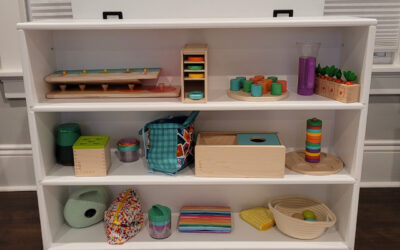 Montessori Shelf (Toy Chest)