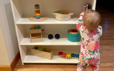 Montessori Shelf/Toy Bin